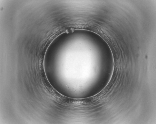 X0000088220268200705151421