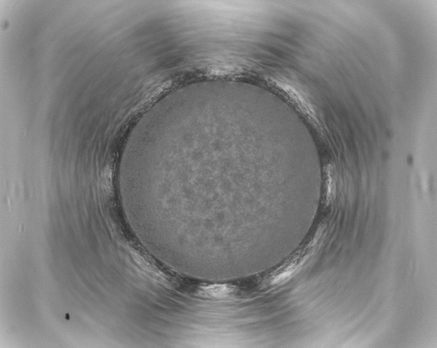 X0000088220269200705151421