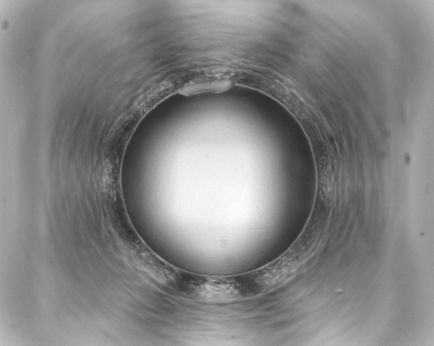 X0000088220270200705151421