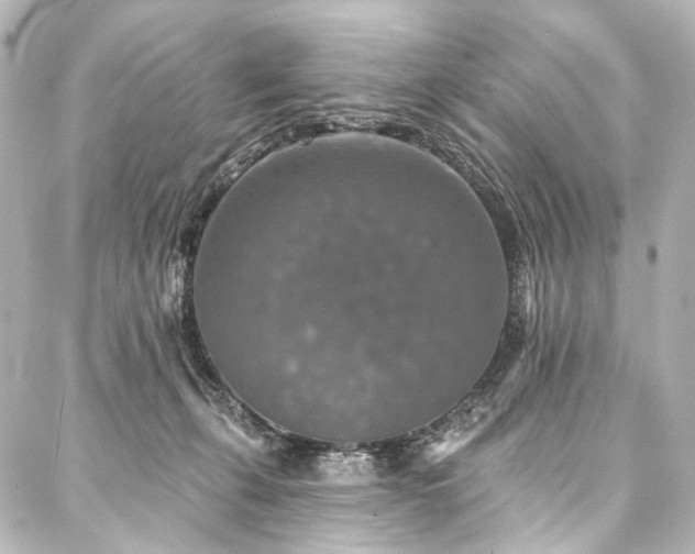 X0000088220271200705151421