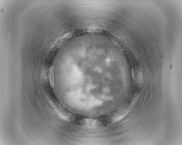 X0000088220272200705151421