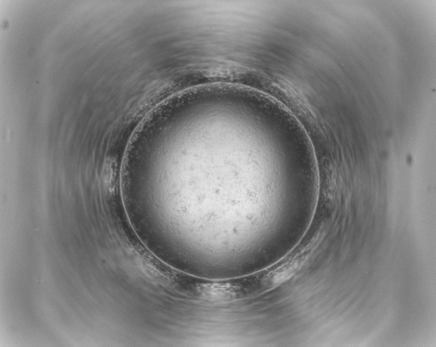 X0000088220273200705151421