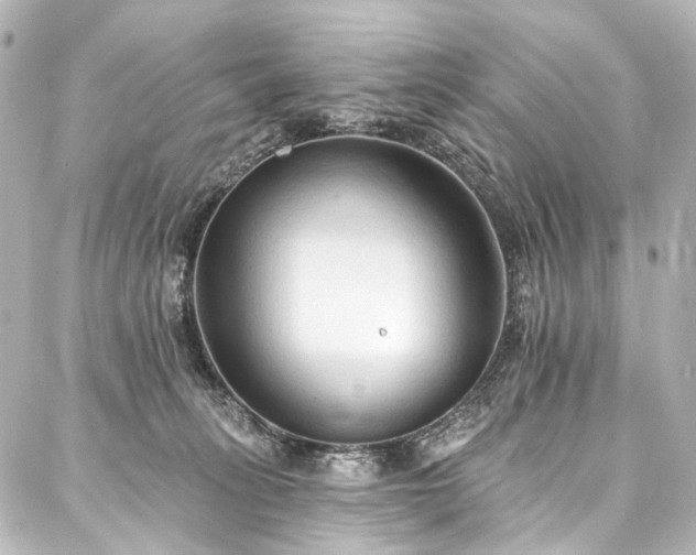 X0000088220275200705151421