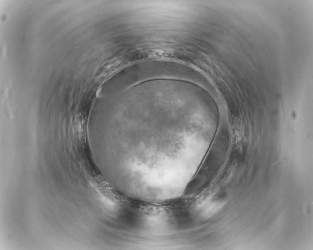 X0000088220276200705151421