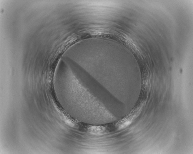 X0000088220277200705151421