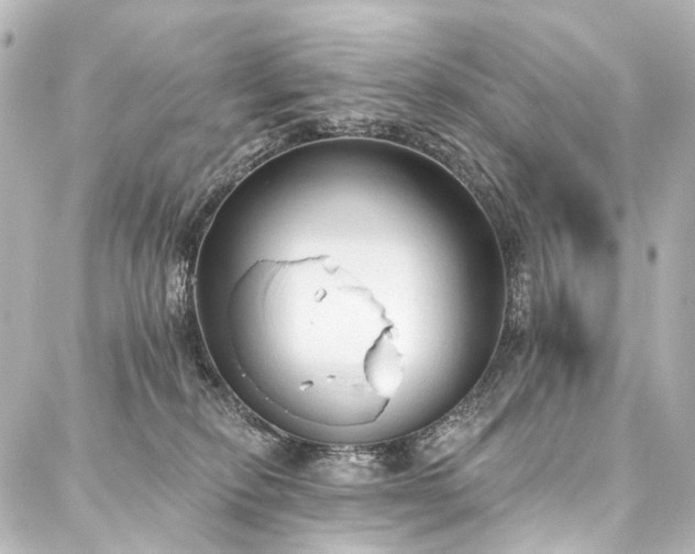 X0000088220278200705151421