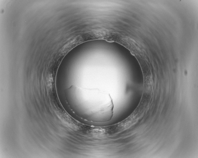 X0000088220279200705151421