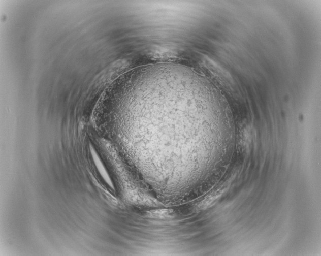 X0000088220281200705151421