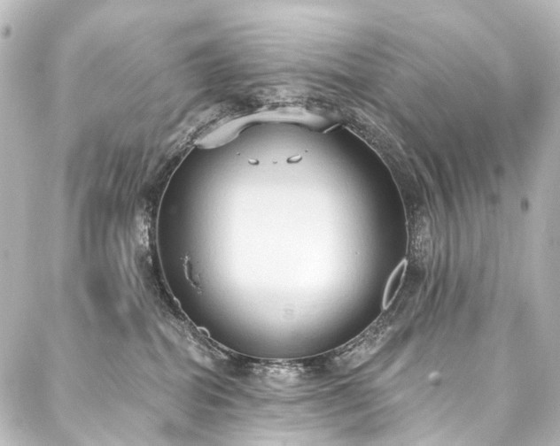 X0000088220282200705151421