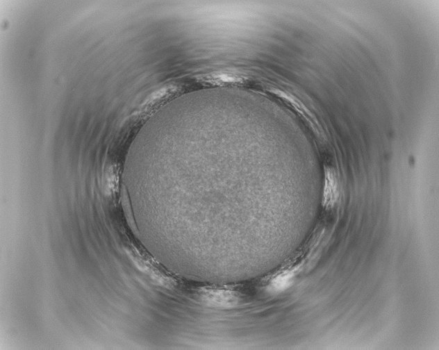 X0000088220284200705151421