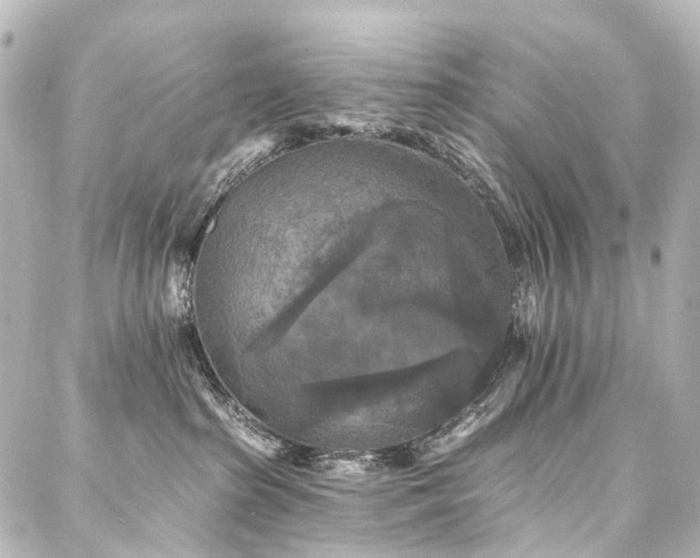 X0000088220285200705151421