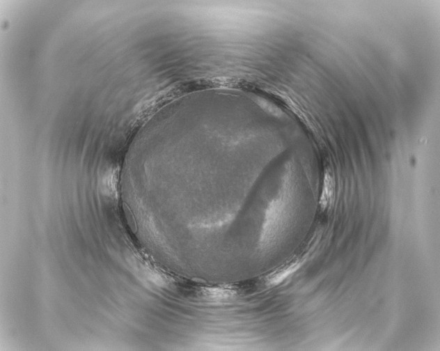 X0000088220286200705151421