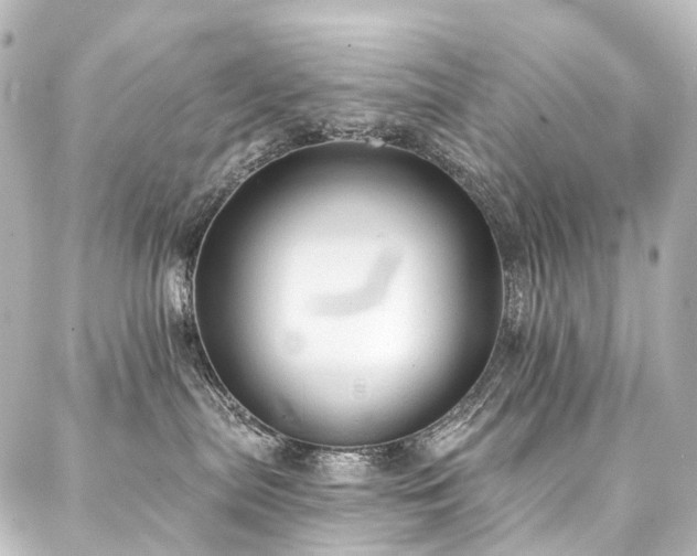 X0000088220287200705151421