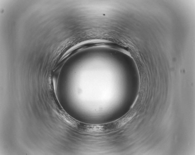 X0000088220288200705151421