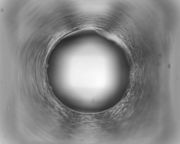 X0000088220289200705151420