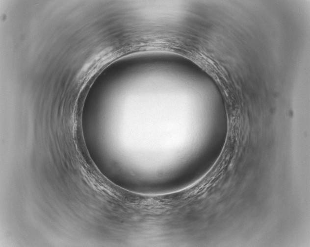 X0000088220290200705151420