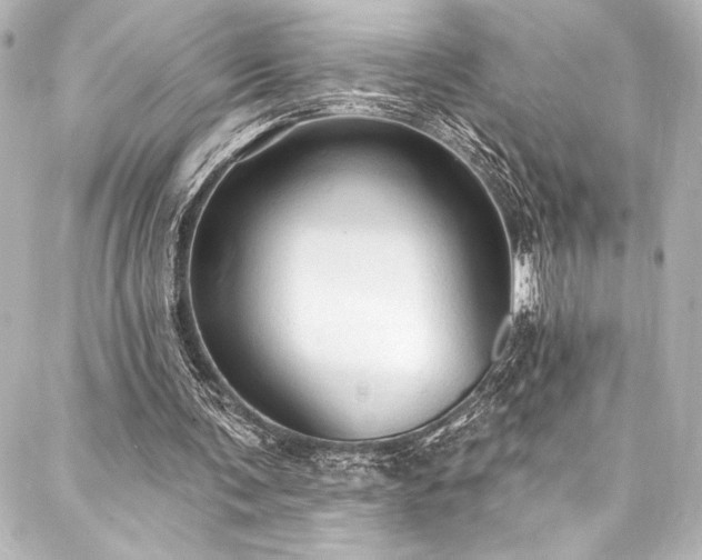 X0000088220291200705151420