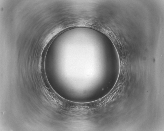 X0000088220292200705151420