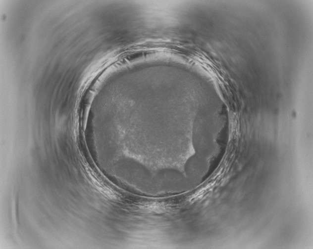 X0000088220293200705151420