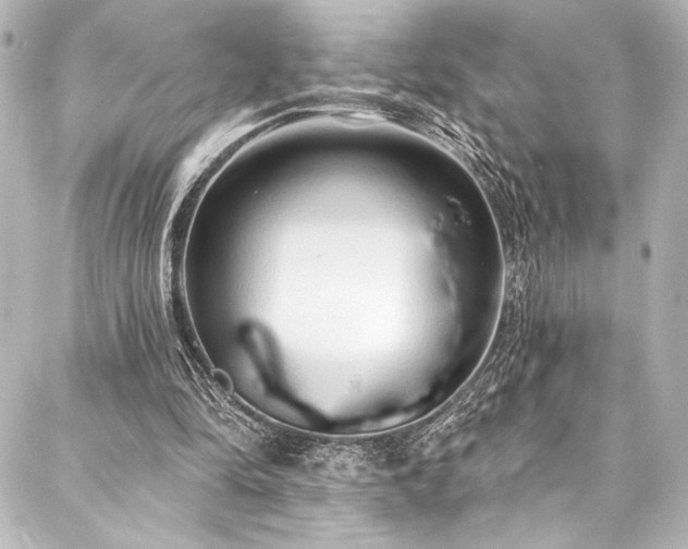 X0000088220294200705151420