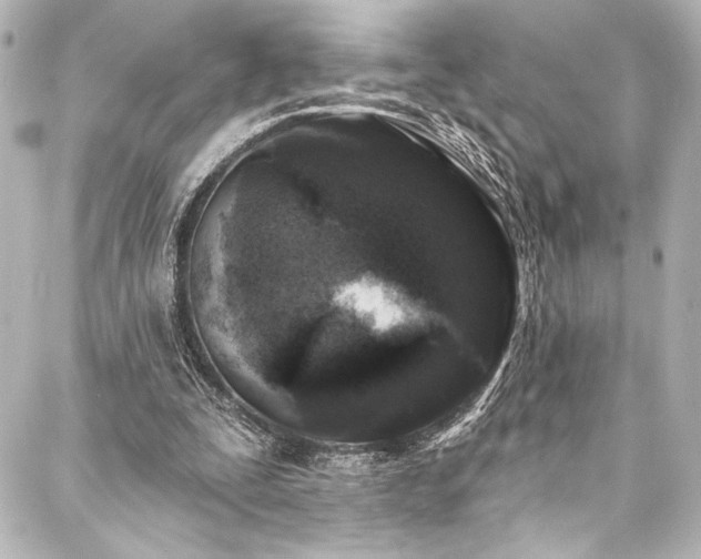 X0000088220295200705151420