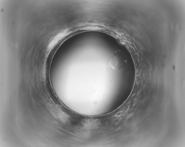 X0000088220296200705151420