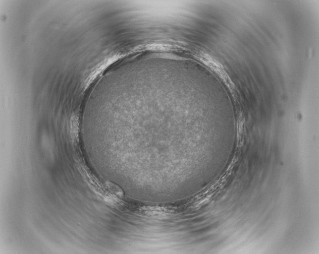 X0000088220297200705151420