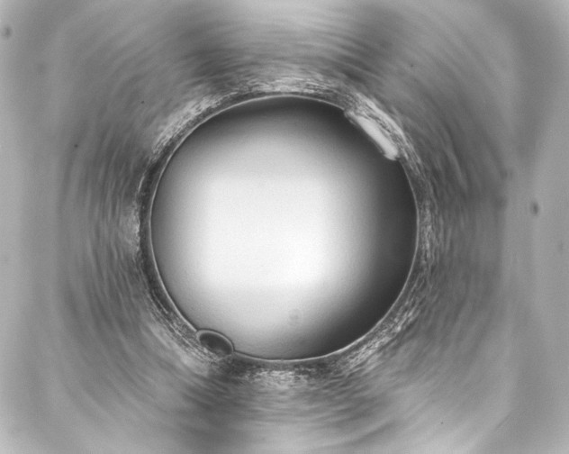 X0000088220298200705151420