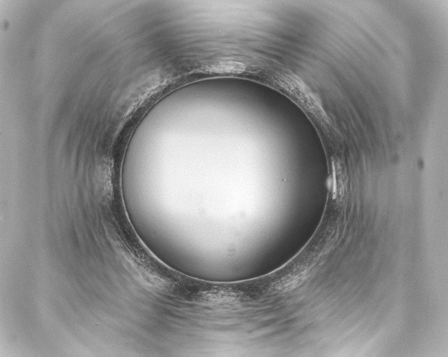 X0000088220300200705151420