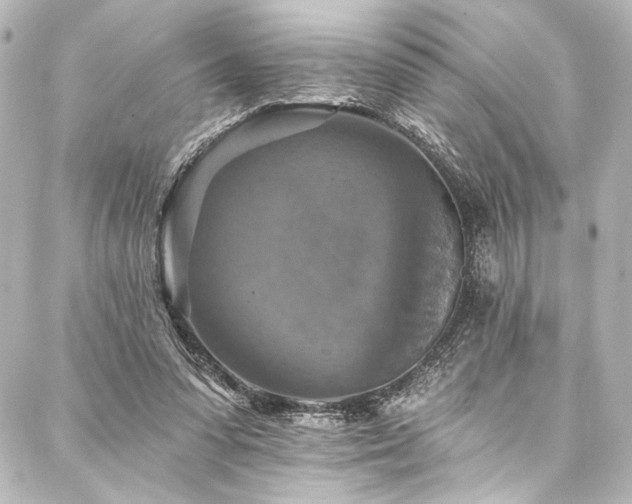 X0000088220303200705151420