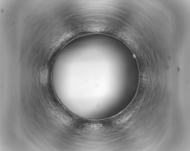 X0000088220304200705151420