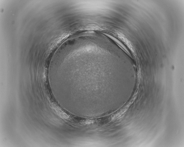 X0000088220305200705151420