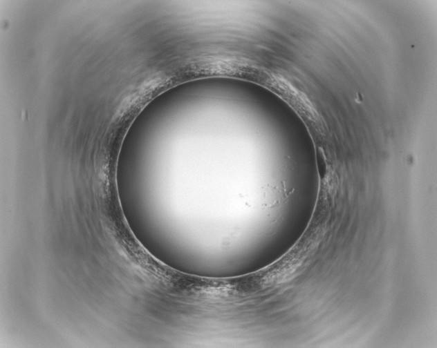 X0000088220306200705151420