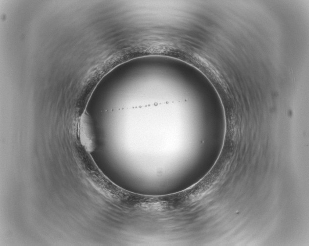 X0000088220307200705151420