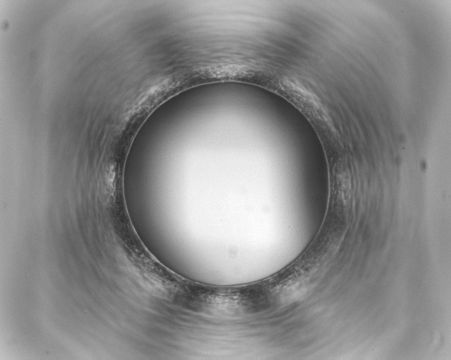 X0000088220308200705151420