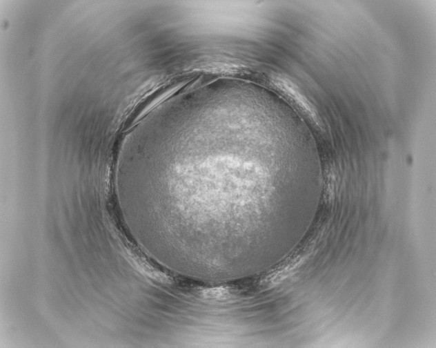 X0000088220309200705151420