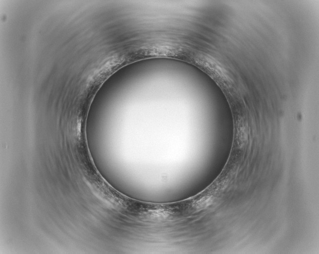 X0000088220310200705151420