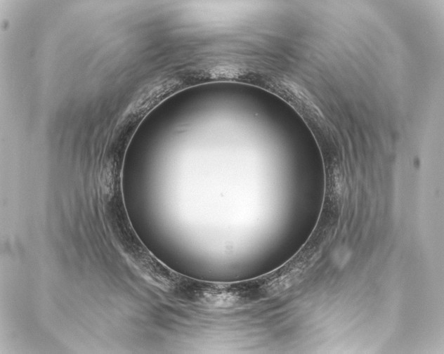 X0000088220311200705151420