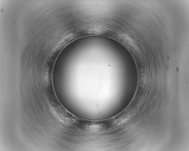 X0000088220312200705151420