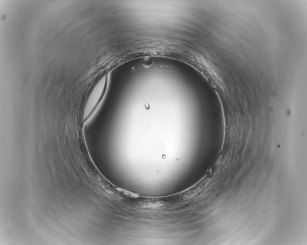 X0000088220313200705151420