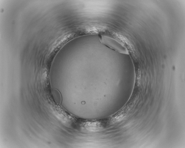 X0000088220314200705151420