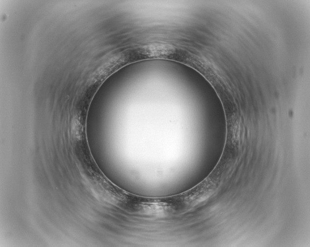 X0000088220316200705151420