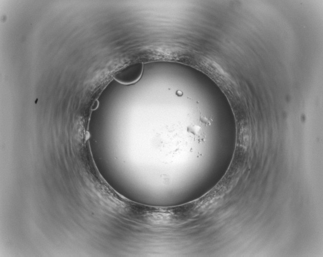 X0000088220318200705151420