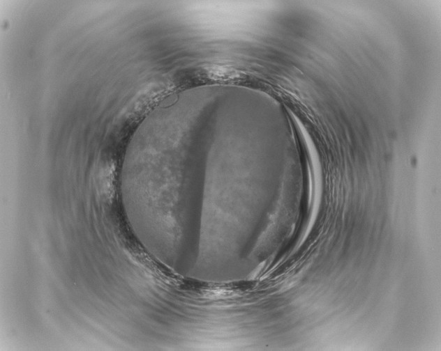 X0000088220319200705151420