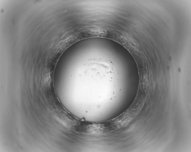 X0000088220320200705151420