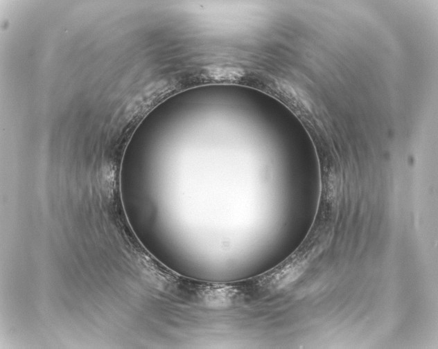 X0000088220321200705151420