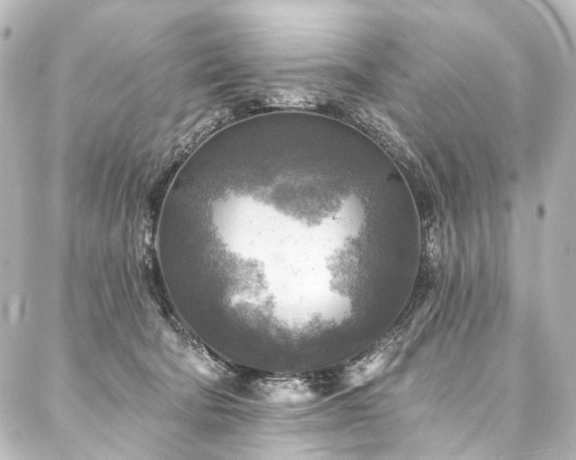 X0000088220322200705151420