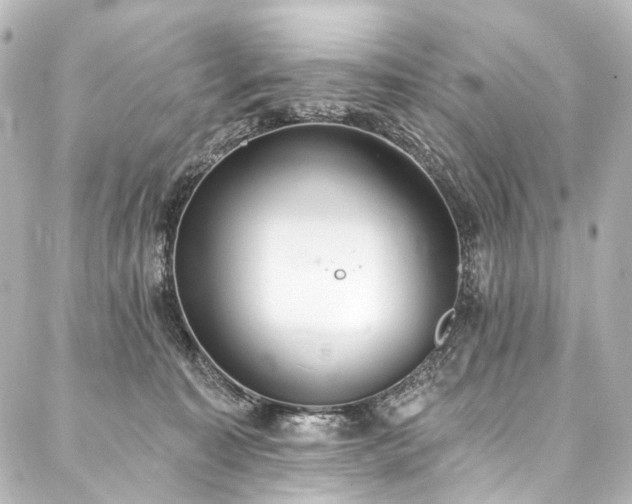 X0000088220323200705151420