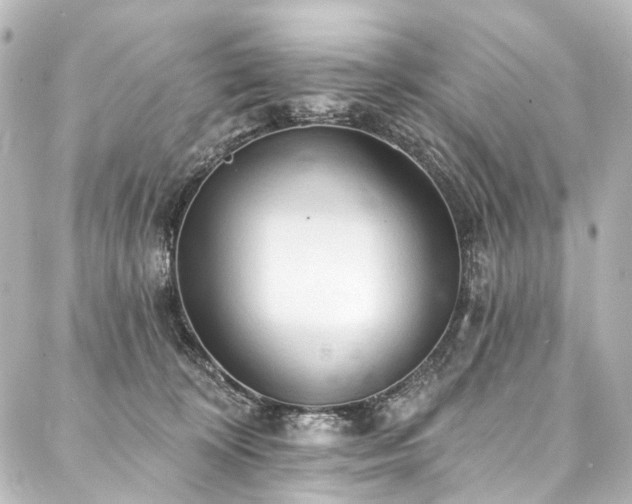 X0000088220324200705151420