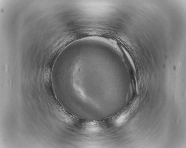 X0000088220325200705151420